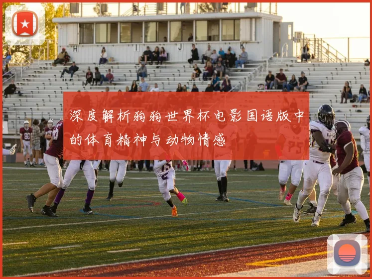 深度解析狗狗世界杯电影国语版中的体育精神与动物情感