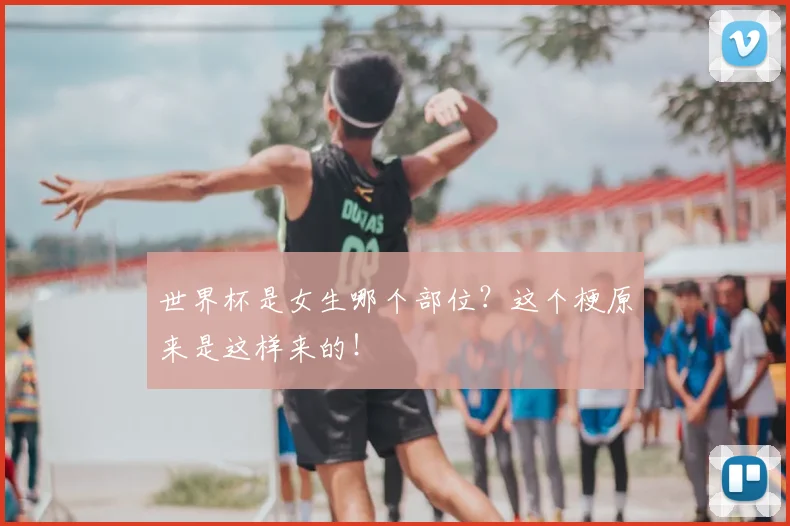 世界杯是女生哪个部位？这个梗原来是这样来的！