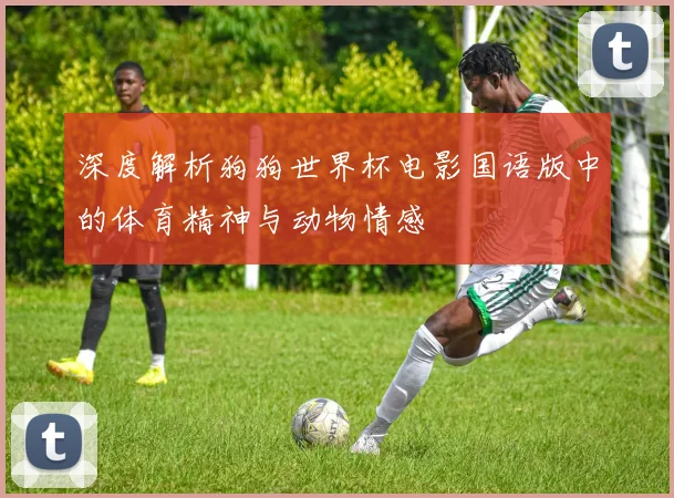 深度解析狗狗世界杯电影国语版中的体育精神与动物情感