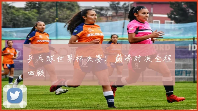 乒乓球世界杯决赛:巅峰对决全程回顾