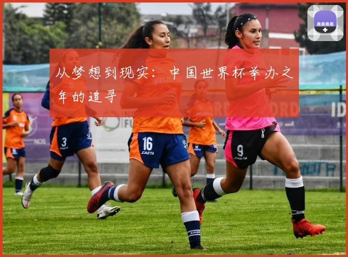 从梦想到现实：中国世界杯举办之年的追寻