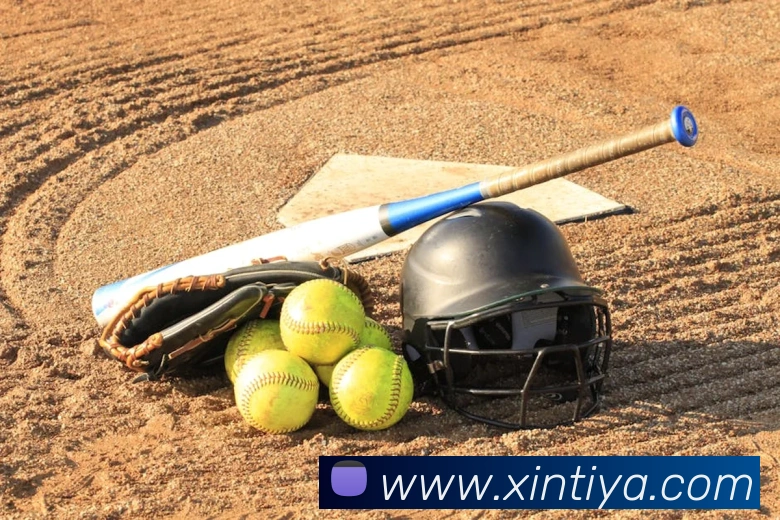 App Interface Preview