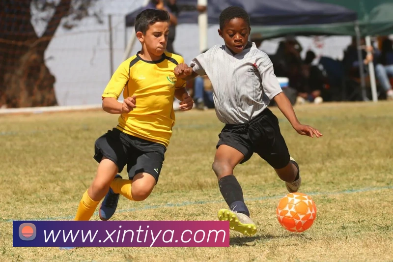 kaiyun网页版在线登录APP 封面图